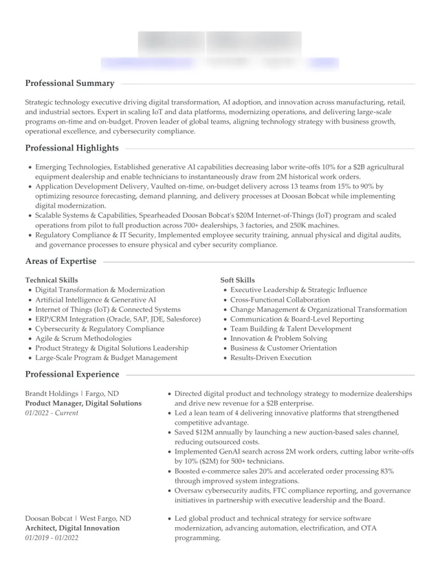 Digital Transformation Executive resume written by HoverAdsPro